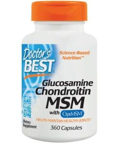 Glucosamine Chondroitin MSM with OptiMSM - 360 caps