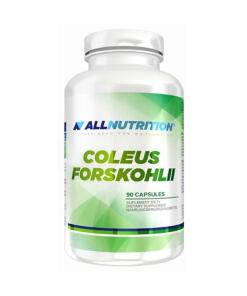 Coleus Forskohlii - 90 kapsler