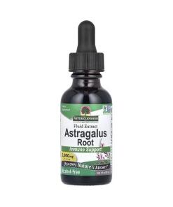 Astragalusrod