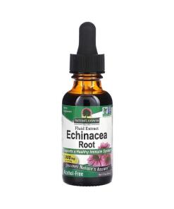 Echinacea Rod