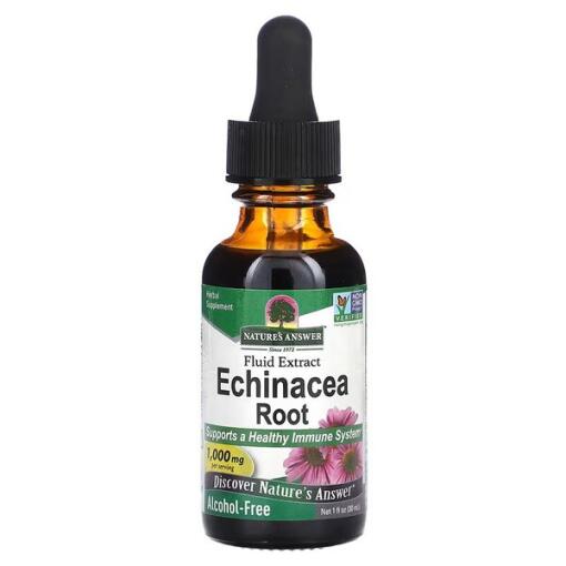 Echinacea Rod