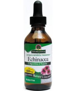 Echinacea Rod