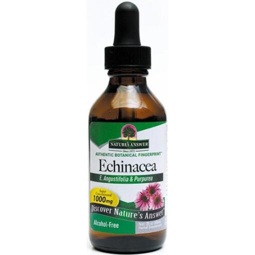 Echinacea Rod
