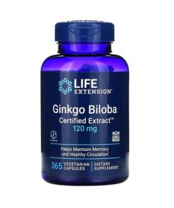 Ginkgo Biloba
