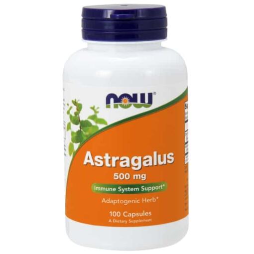 Astragalus