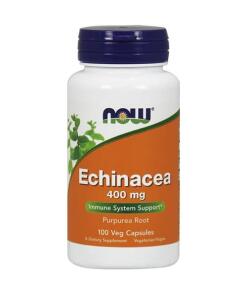 Echinacea