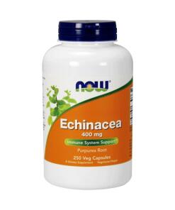 Echinacea