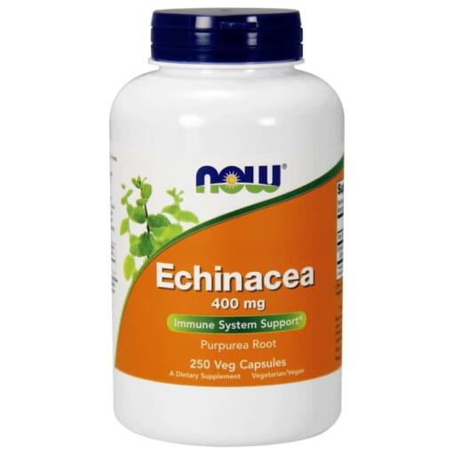 Echinacea