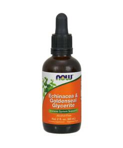 Echinacea & Goldenseal Glycerit - 60 ml