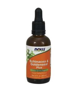 Echinacea & Gyldenris Plus - 60 ml
