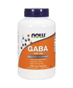 GABA med vitamin B6
