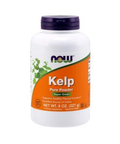 Kelp