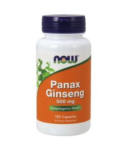 Panax Ginseng