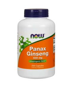 Panax Ginseng