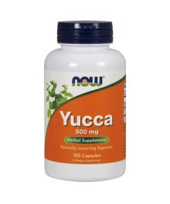 Yucca