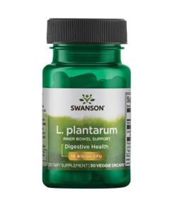 L. Plantarum Indre Tarmstøtte - 30 vcaps