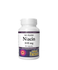 Natural Factors Niacin 500 mg  (90 Capsules)