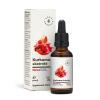 Aura Herbals - AURA HERBALS Výtažek z kurkumy, kurkumin (30 ml)