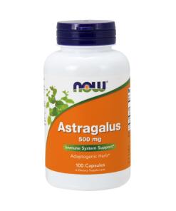 Astragalus 500 mg
