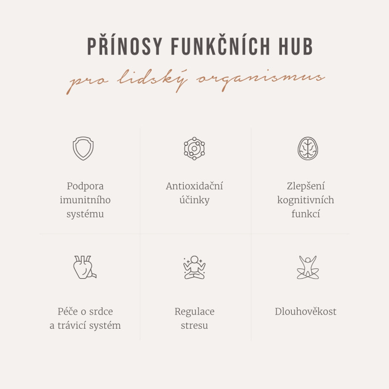 Four Sigmatic - Chaga Mushroom Elixir Mix Organic, prášek, 20 sáčků - Obrázek 3