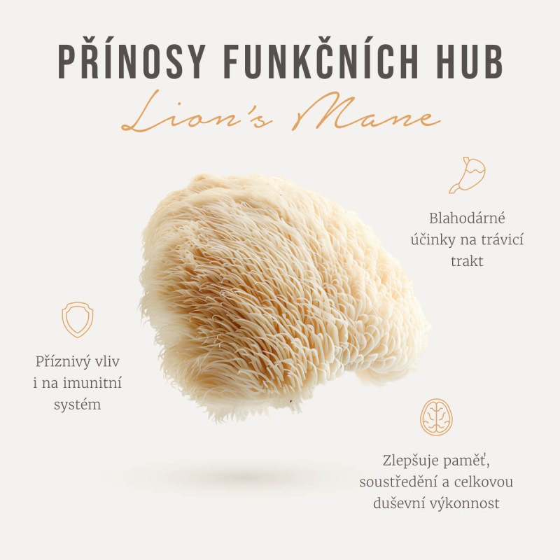 Four Sigmatic - Bio mletá kávová směs s houbou Hericium erinaceus (Lion's Mane) - Obrázek 2