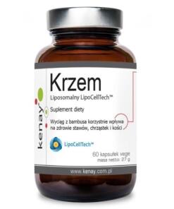 KENAY LipoCellTech liposomal silicon (60 caps)
