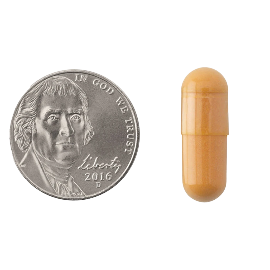 Kurkuma, extra síla - 60 kapslí - Obrázek 2