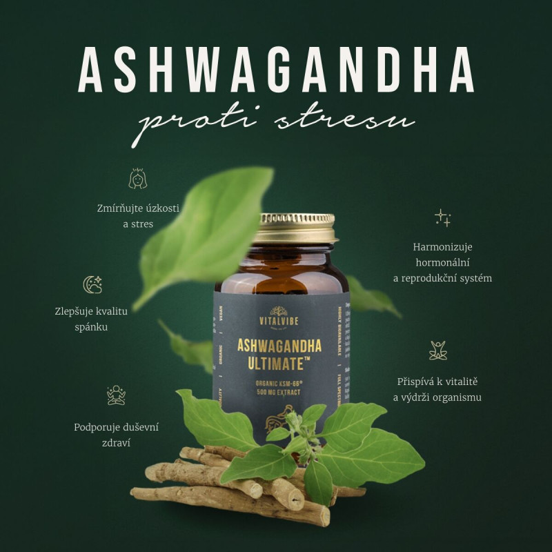 Vitalvibe - Ashwagandha Ultimate Organic KSM-66® 500 mg extrakt, kapsle - Obrázek 3