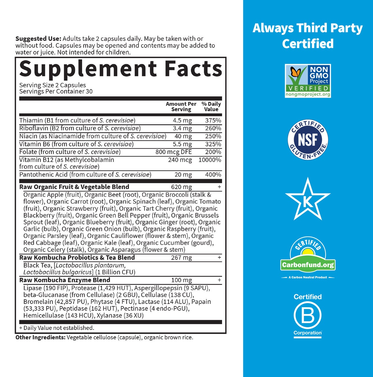 Vitamin Code Raw Kombucha - 60 veganských kapslí - Obrázek 2