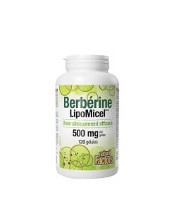 Natural Factors Berberine LipoMicel Matrix (120 Softgels) - Eco Supplements CZ